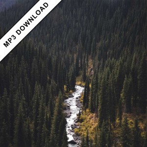 Cuki - Paths mp3 Download EP