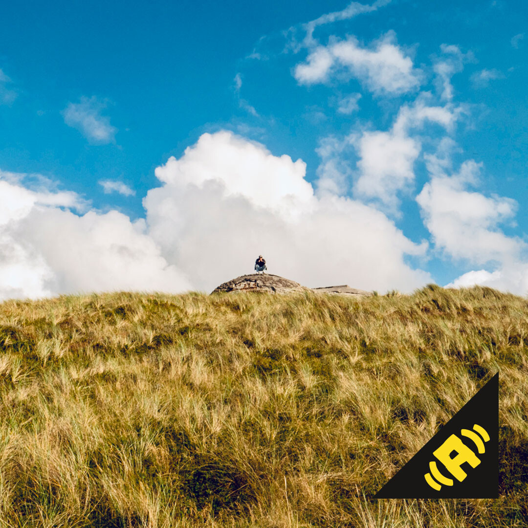 Pöbel MC - Wind mp3 Download Single