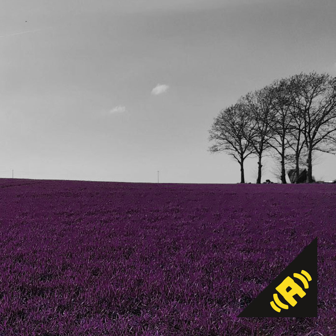 Hinterlandgang - Kleinstadtfieber (RAESA Remix) mp3...