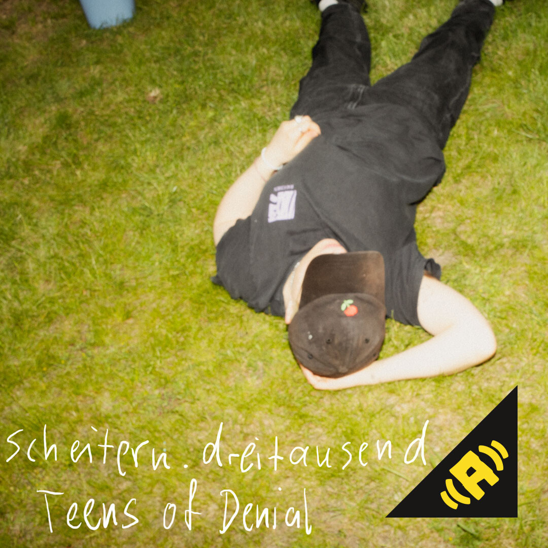 scheitern.dreitausend - Teens of Denial mp3 Download Single